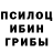 ГЕРОИН хмурый Elektro Ded