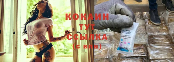мяу мяу мука Магас