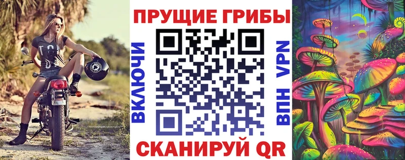 Купить где  Рудня  Галлюциногенные грибы мухоморы 