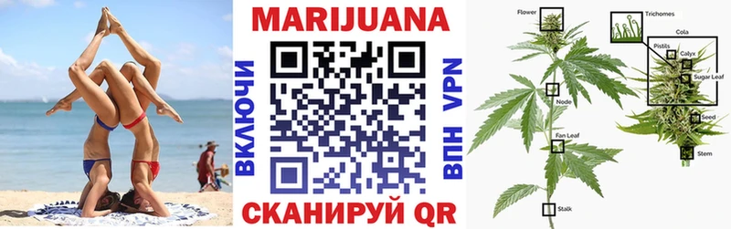 Купить  Рудня  Бошки Шишки планчик 